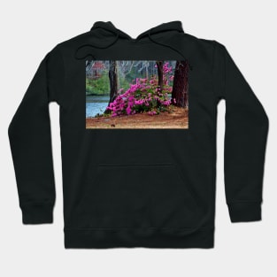 Spring By The Lake Hoodie